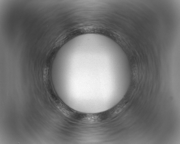 X0000059240278200511111623