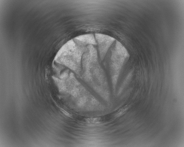 X0000059240281200511111623
