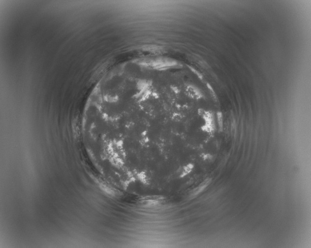 X0000059240285200511111623
