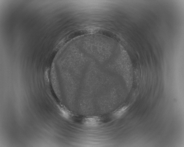 X0000059240286200511111623