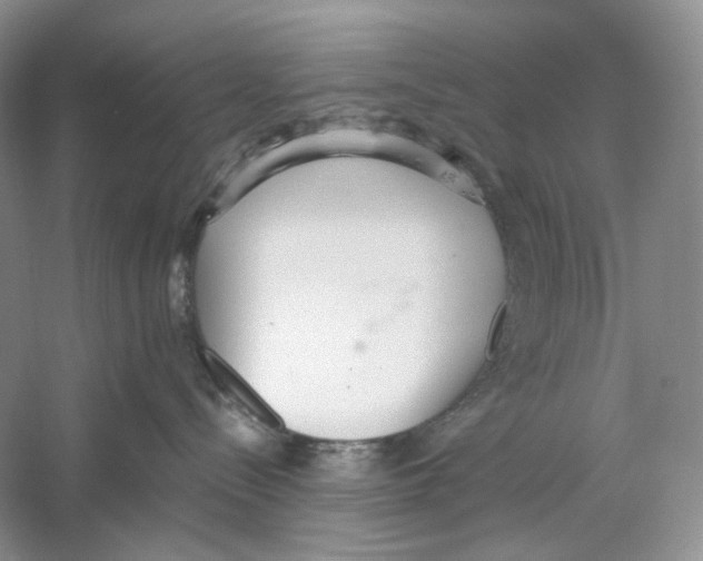X0000059240288200511111623