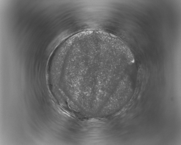X0000059240290200511111622