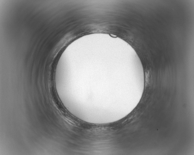 X0000059240291200511111622