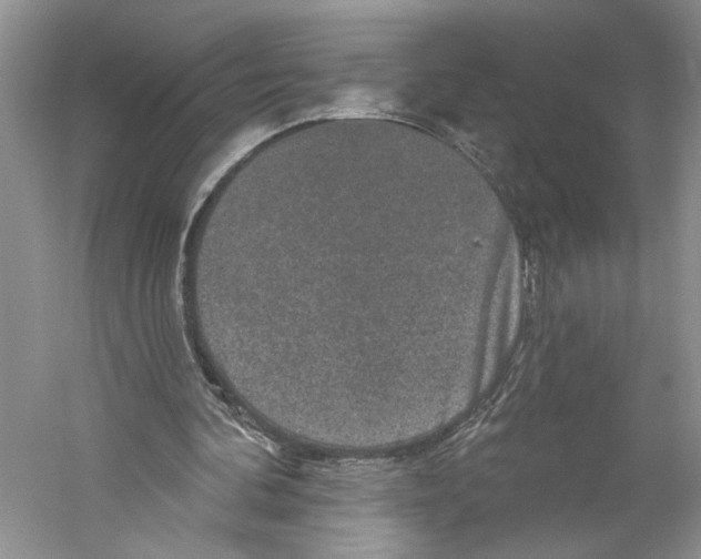 X0000059240292200511111622