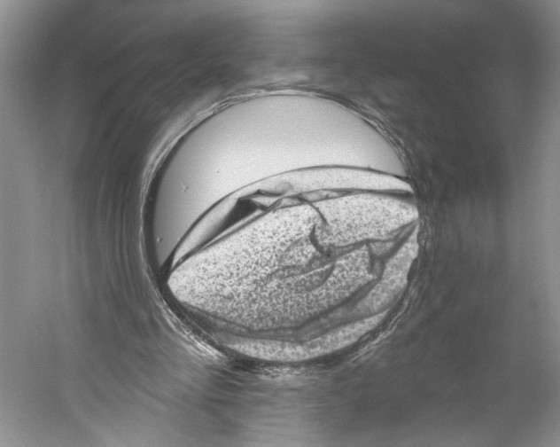 X0000059240293200511111622