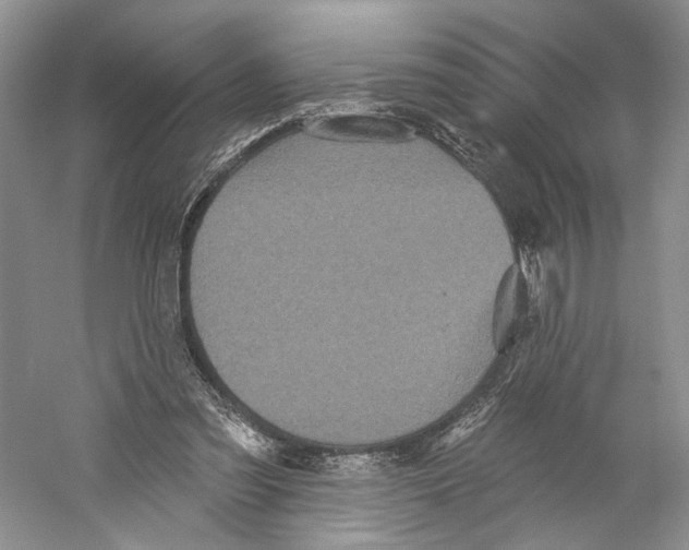 X0000059240301200511111622
