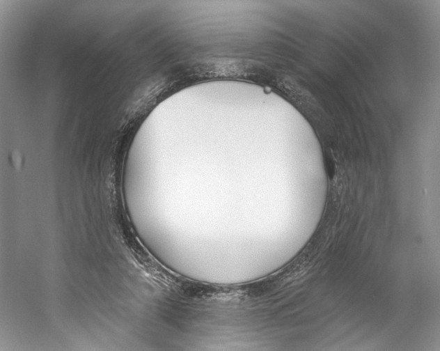 X0000059240306200511111622