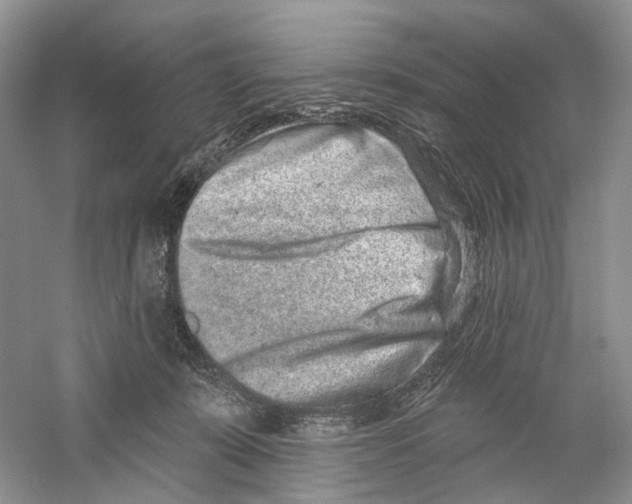 X0000059240319200511111622