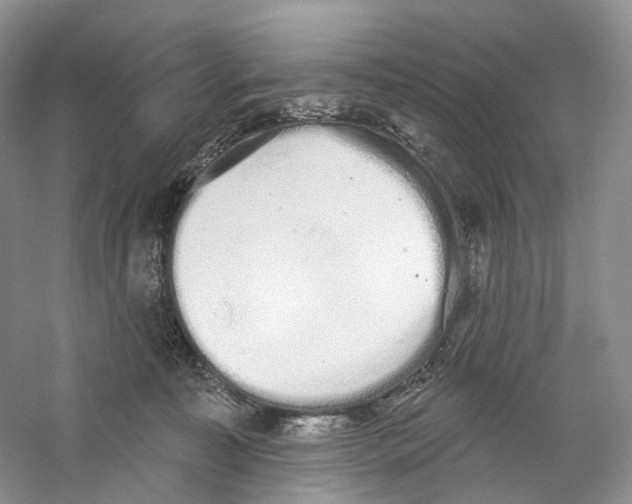 X0000059240323200511111622
