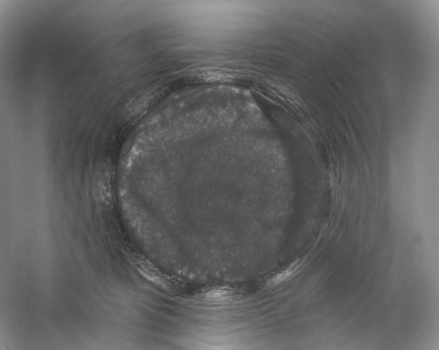 X0000059240325200511111621