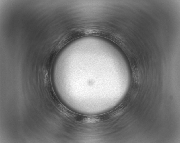 X0000059240327200511111621