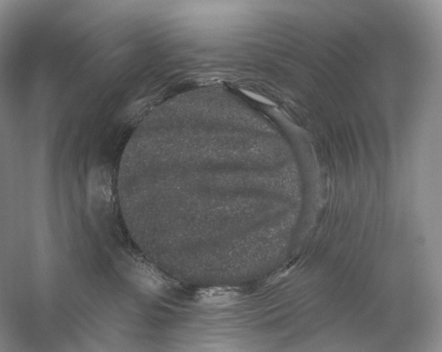 X0000059240331200511111621