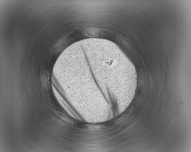 X0000059240332200511111621