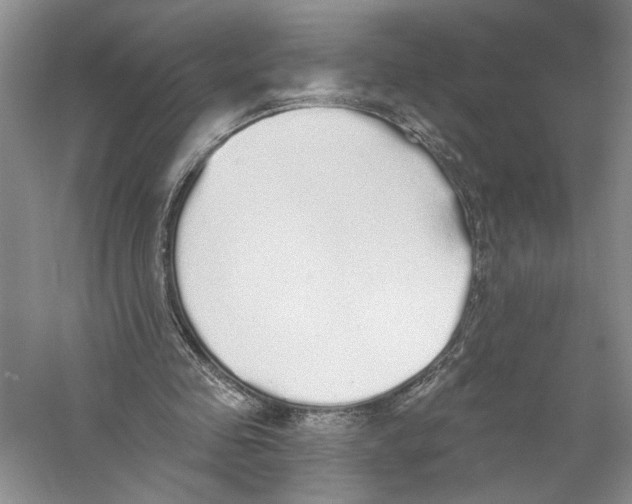X0000059240341200511111621