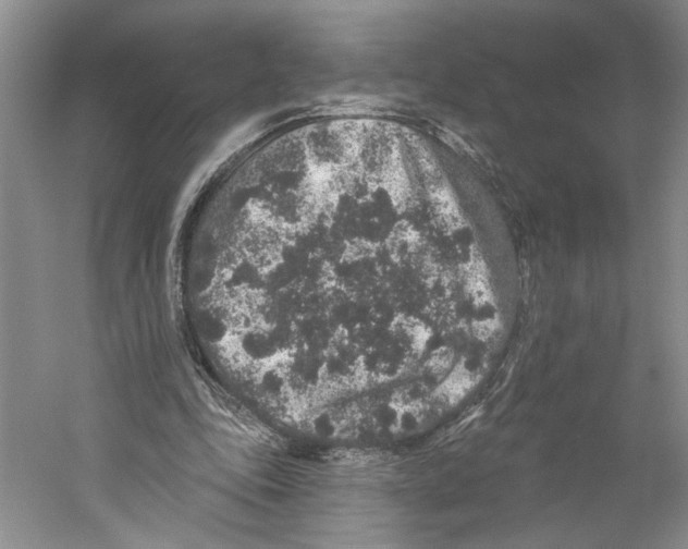 X0000059240343200511111621
