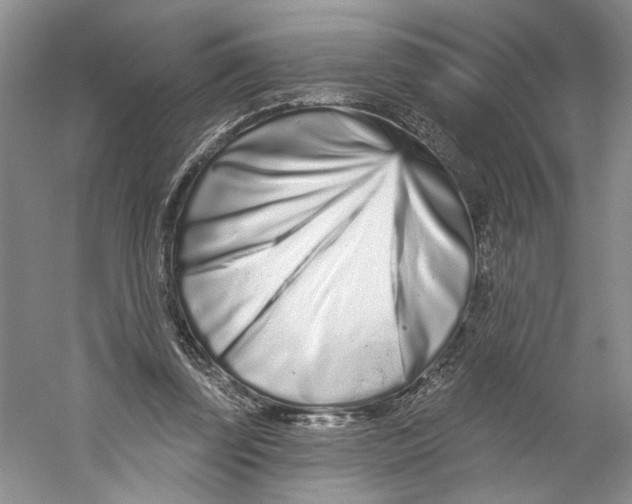 X0000059240347200511111621