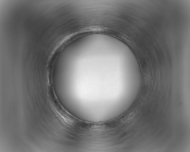 X0000059240350200511111621