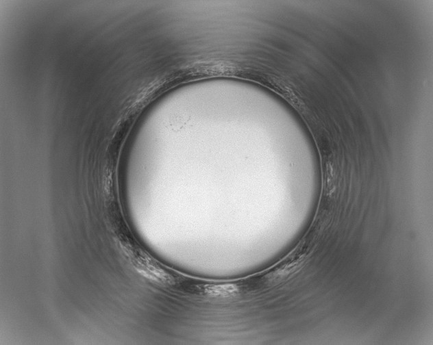X0000059240355200511111621