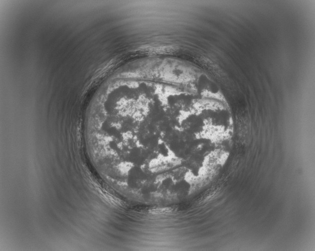 X0000059240357200511111621