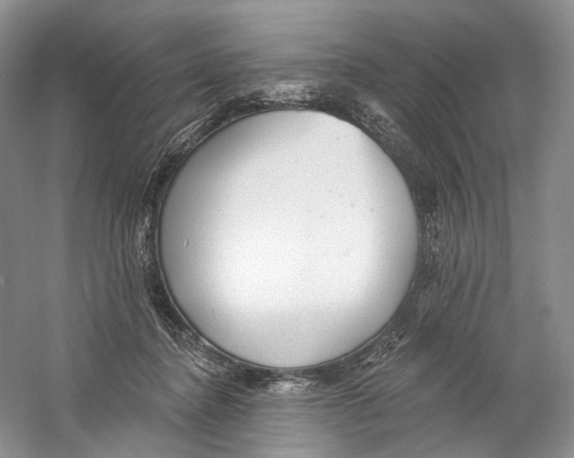 X0000059240364200511111621
