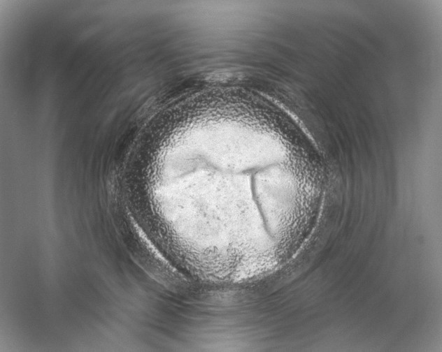 X0000059240375200511111621