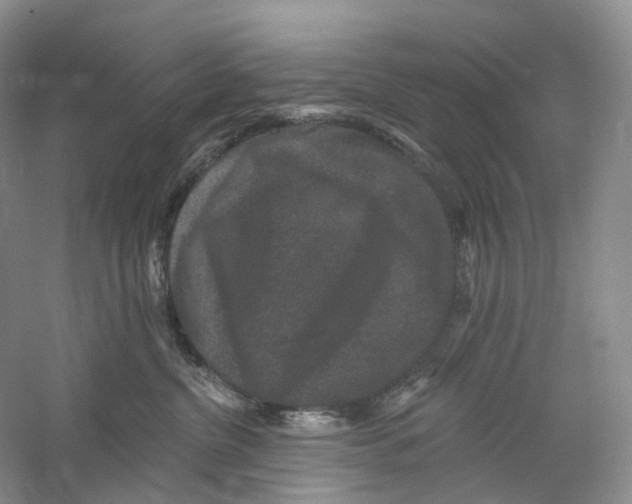 X0000059240380200511111621