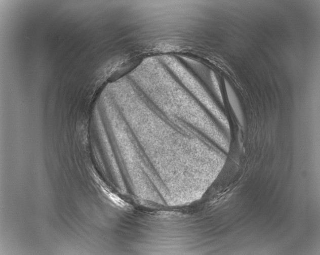 X0000059240393200511111620