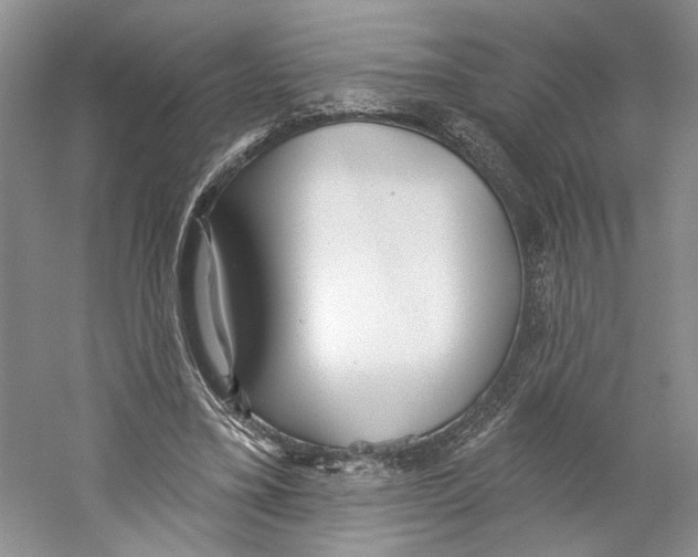 X0000059240395200511111620