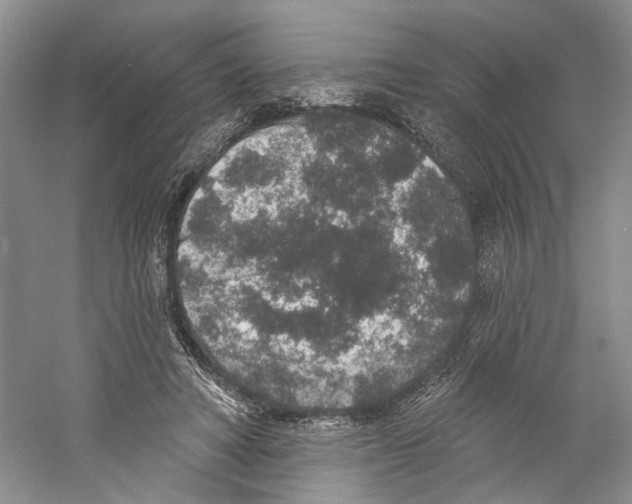 X0000059240402200511111620