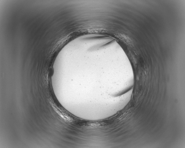 X0000059240405200511111620