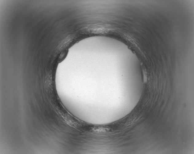 X0000059240407200511111620