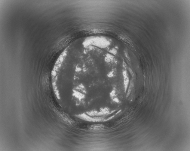 X0000059240410200511111620