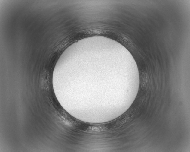 X0000059240414200511111620