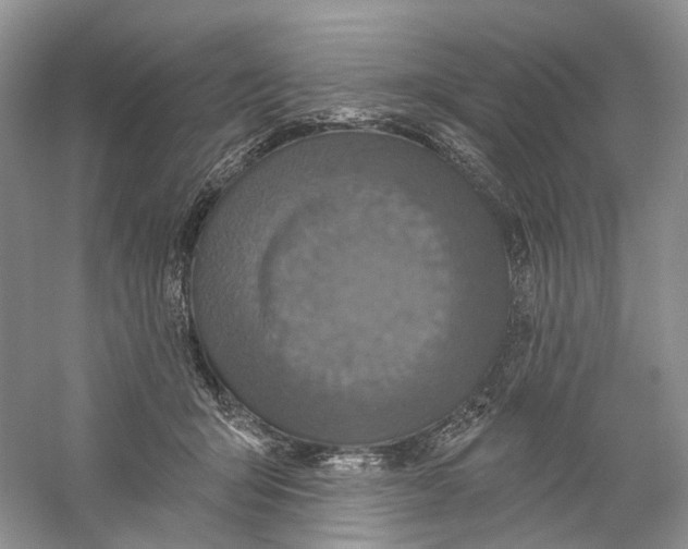 X0000059240415200511111620