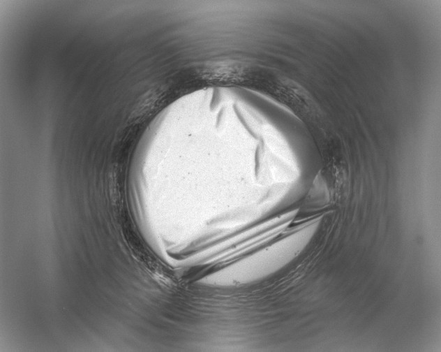 X0000059240416200511111620