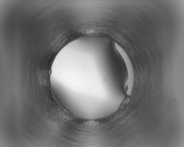 X0000059240421200511111620