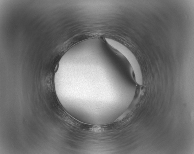 X0000059240425200511111620