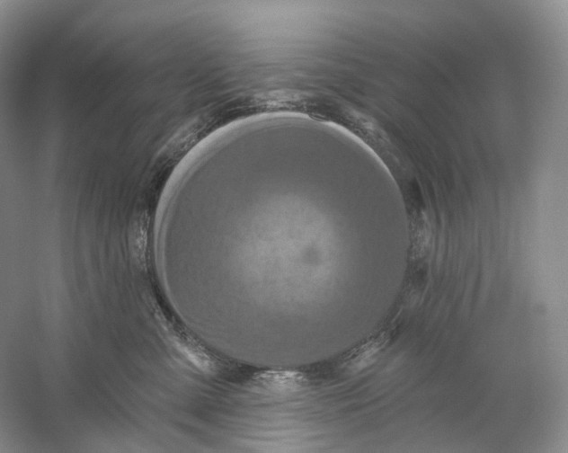 X0000059240427200511111620