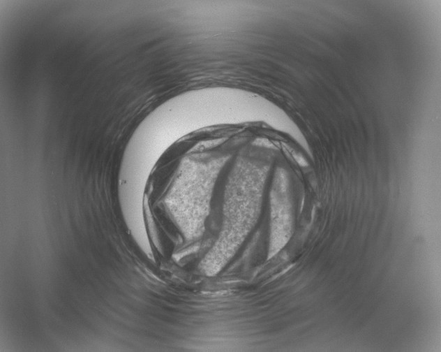 X0000059240428200511111620