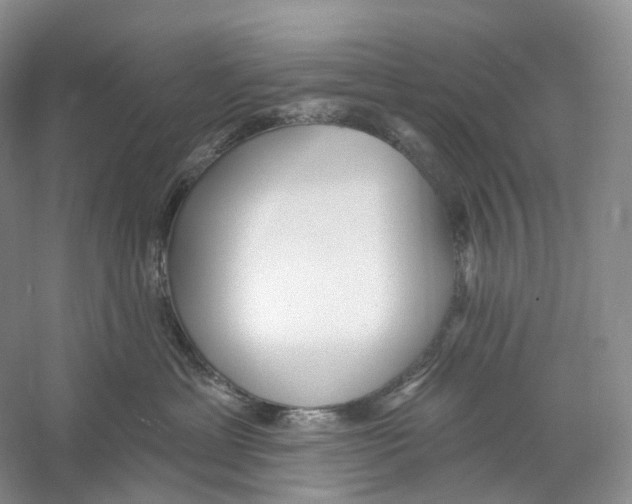 X0000059240429200511111620