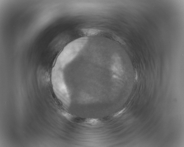 X0000059240431200511111620
