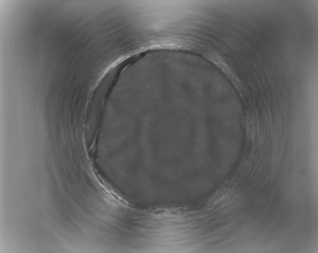 X0000059240434200511111619