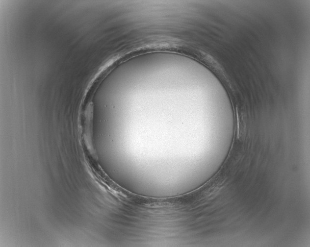 X0000059240435200511111619