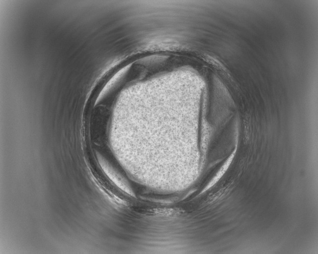X0000059240439200511111619