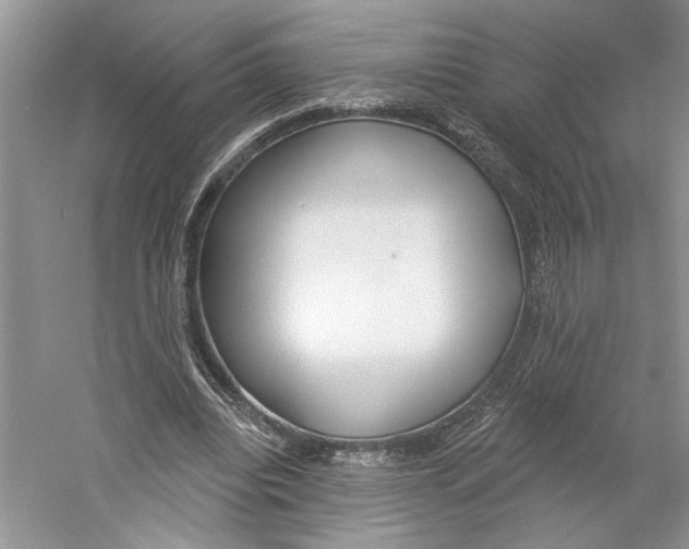 X0000059240440200511111619
