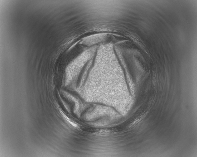 X0000059240441200511111619