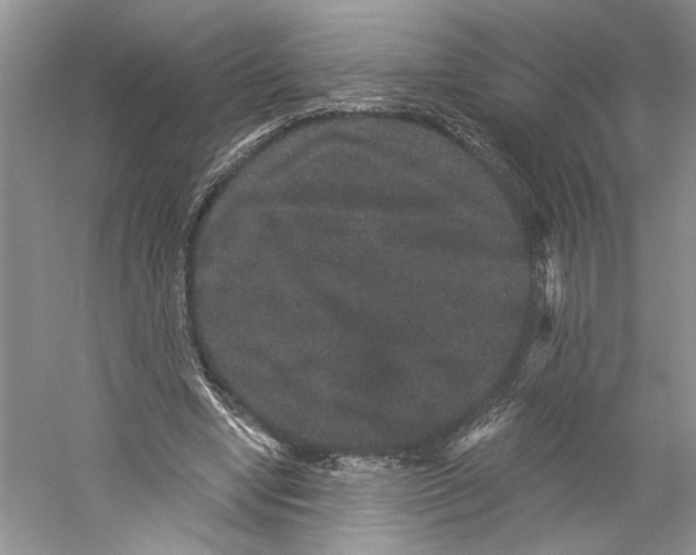 X0000059240442200511111619