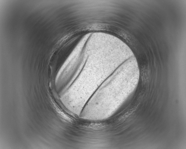 X0000059240445200511111619