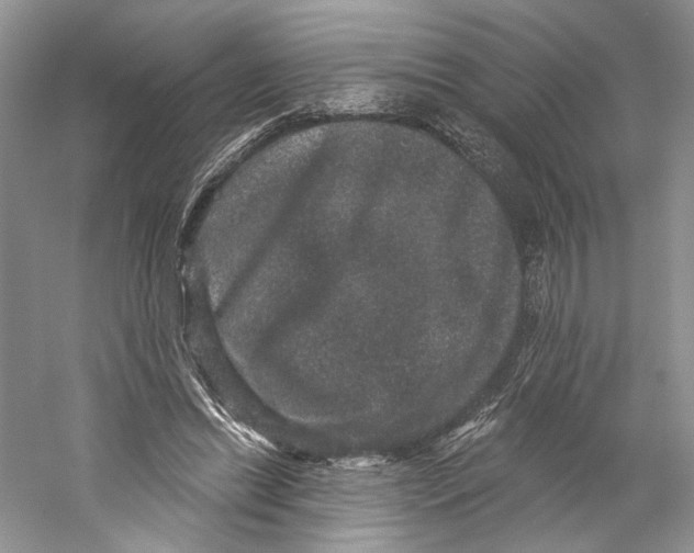 X0000059240446200511111619