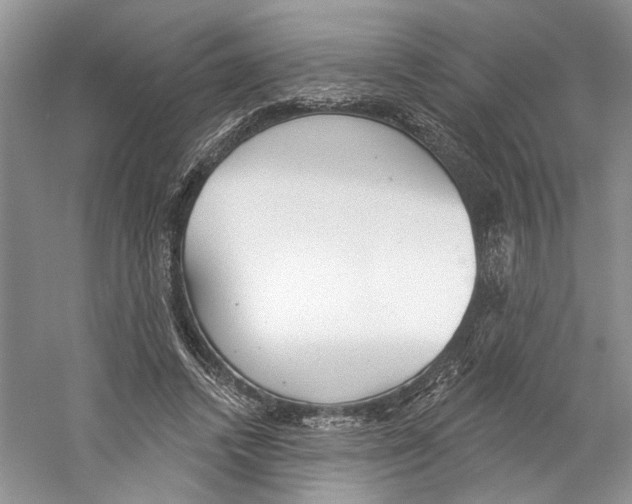 X0000059240448200511111619